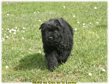 HERO du Clos de la Luette &copy; Copyright depose